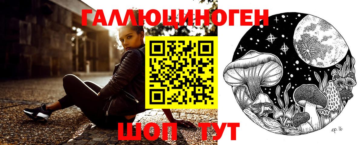 Элиста  Галлюциногенные грибы Cubensis  магазин продажи   Вход с VPN 